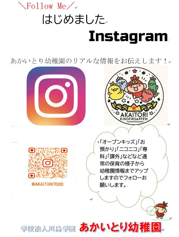 あかいとり　instagram インスタグラム　あかいとり幼稚園のリアルな情報をお伝えします！